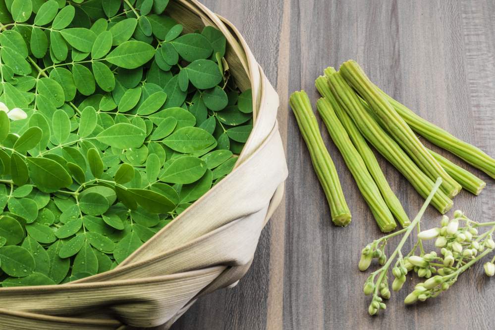 Moringa